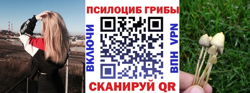 Галлюциногенные грибы мухоморы МЕГА как войти Жуковка закладки